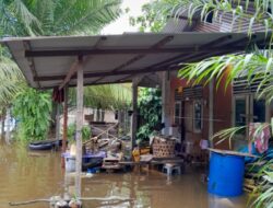 Intensitas Hujan Masih Tinggi, Banjir Kembali Genangi Aceh Singkil.