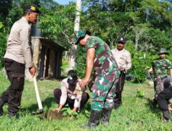 Pohon Penanam Harapan: Upaya Bersama Memulihkan Lingkungan
