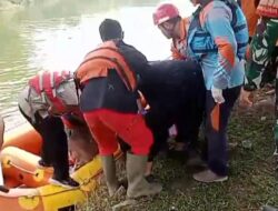 Korban Tenggelam di Danau Metland Cibitung Zendo Rayan Pratama Diketemukan oleh TIM SAR