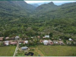 Kampung Umang Kecamatan Linge punya Potensi,Tanah Subur,masyarakat Sejahtra,