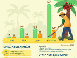 Keluhan Masyarakat Aceh Timur Terkait Program Peremajaan Sawit Rakyat (PSR)