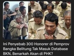 Penyebab 300 Honorer di Pemprov Bangka Belitung Tak Masuk Database BKN, Benarkah Akan di PHK?