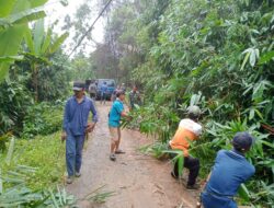 Antisipasi Musim Hujan dan Angin Kencang, Babinsa Ajak Warga Desa Sumbertani Gotong Royong.