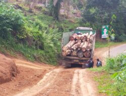 Akses jalan Dari Sekancing Ke Simpang Pulau Rengas Rusak Akibat Truk Muatan Kayu Log.