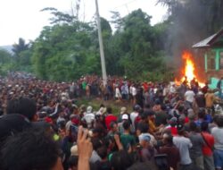 Harimau Sumatera Kembali Memakan Korban Masyarakat Suoh Nekat Bakar Kantor Kehutanan