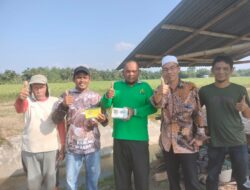 Ketua DPW STI Aceh Muamar Saputra Jalankan Program DPP Untuk Kemakmuran Petani di Aceh 