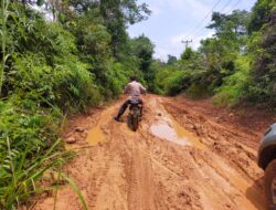 Jalan Menuju Kedesa Rantau Jering Rusak Parah,Di Mana Kawajiban Pemerintah Kabupaten Merangin.