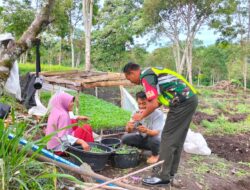 Babinsa: Dukung Ketahanan Pangan Petani Cabe