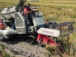 Kementrian pertanian berikan bantuan mesin perontok padi melalui dinas pertanian kepada Gapoktan di Kabupaten Mesuji.