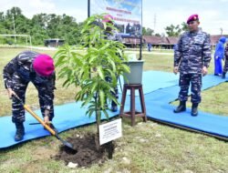 Dankormar Didampingi Ketua PG Jalasenastri Kormar Tanam Pohon Mangga