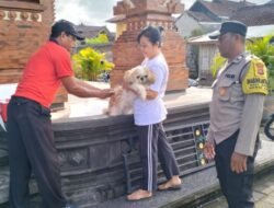 Polres Tabanan Bhabinkamtibmas Kawal Vaksin Hewan Cegah Penyakit Rabies Rambah Warga Masyarakat di Wilayah Marga Tabanan