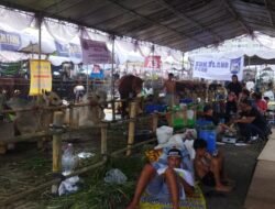 Kontes dan Ekpo Sapi APPSI Piala Pimpinan MPR RI