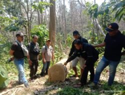 Polisi Tangkap Pelaku Pencurian Kayu Jati di Hutan Kabupaten Malang