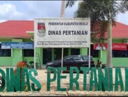 Dinas Pertanian Dan Peternakan Kabupaten Mesuji Siap Turun Untuk Mengecek Langsung Ke Lokasi Terkait Pemberitaan Sapi Bantuan Tahun 2012 Di Desa Muara Tenang