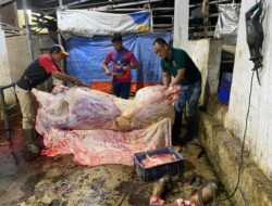 Viral Diduga RPH Cicalengka Kota Bandung Tidak Mengantongi Izin!!!