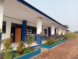 Siswa-Siswi SMPN 7 pasar kemis kabupaten Tangerang Antusias lakukan penghijauan di sekolah