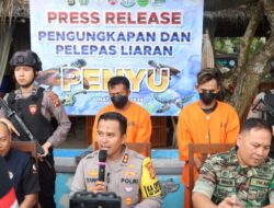 Team Unit Gakum, Berhasil Gagalkan Penyelundupan Satwa di Lindungi, 14 Ekor Penyu Hijau di Kembalikan ke Habitatnya