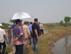 Hengky dan Hendra Diduga Memalsukan Surat-surat Garapan Laut, Negara di Rugikan.