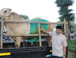 27 Sapi dan 34 Kambing Kurban Idul Adha 1445 Hijriah Disalurkan Polres Metro Tangerang Kota