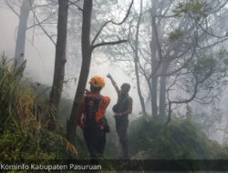 Bukit Naga Kawasan Bromo Alami Kebakaran