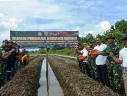 Desa Gantung Kab.Belitung Timur Dijadikan Sentra Produksi Bawang Merah  