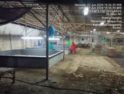 Diduga Oknum APH Beck Up Judi Ayam, Informasi Bocor Penggrebekan TKP Gagal Total.