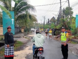 Personil Polsek Kediri Melaksanakan Pengamanan Lomba Lari 6K dan 10K Nuanu 2024 di Kawasan Nuanu Kediri, Tabanan