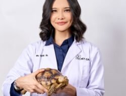Drh. Yulyani Dewi Terbitkan Buku “A-Z : Tortoises and Turtles,” Kupas Tuntas Soal Kura-kura