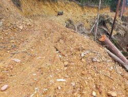 Pekerjaan Proyek Jalan Usaha Tani di Desa Rantau Macang Terkesan Asal Jadi