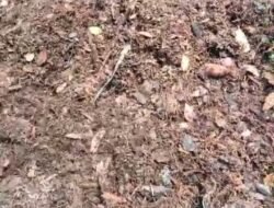 PT.JMI Isaq,Di Duga Buang Limbah Di Burlintang,Masyarakat Mempertanyakan Apakah Sudah Sesuai Prosedur.