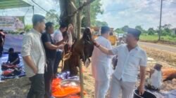 IMG_20240617_112936 IMG_20240617_112936