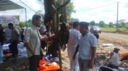 IMG_20240617_112942 IMG_20240617_112942