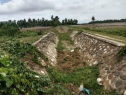 DI Tanah Jambo Aye Terlantar, Petani Menjadi Korban diduga Terancam Gagal Turun Sawah