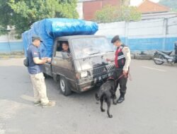 Anggota K9 Polda Bali bantu giat pemeriksaan di Pelabuhan Padangbai, Antisipasi Handak Keluar Masuk Bali