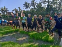 Sukseskan Program Ketahanan Desa Tahun 2024, Babinsa 1617/Jembrana Bersama Warga Tanam Padi Inpari 32