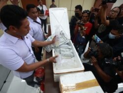Ditpolairud Polda Jatim Berhasil Ungkap Jual Beli Benih Lobster Illegal di Banyuwangi, Dua Tersangka Diamankan