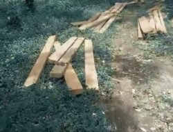 Lagi Lagi, Ratusan Keping Kayu Siluman Terkapar Dipinggir Jalan, Diduga Pemiliknya Para Siluman