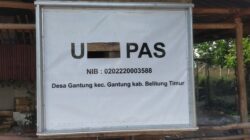 IMG-20240815-WA0034
