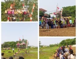 Panjat Pinang Di Tengah Bekas Sawah Meriahkan HUT Kemerdekaan Warga Dusun 04 Lebak Wangi