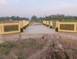 Masyarakat Desa Sungai Buaya Kabupaten Mesuji Sangat Bersyukur, Adanya Pembangunan Jembatan Jalan Usaha Tani.