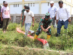 Irdam Kodam IM Kunjungi Lokasi Pompanisasi Wilayah Kodim 0106/ Aceh Tengaha