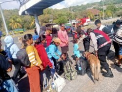 Pemeriksaan di Pelabuhan Padangbai, di Bantu K9 Polda Bali Untuk Antisipasi Barang Berbahaya Lolos