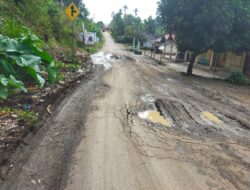 Warga Davil 4 Meminta Perbaikan Akses Jalan Provinsi Dari Dusun Ladang Panjang Ke Desa Muara kelukup.