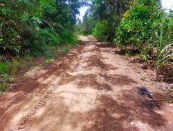 Kurangnya Perhatian Pemerintah Kabupaten Merangin, Beginilah kondisi Jalan Penghubung Tiga Desa Di Wilayah Kecamatan Muara Siau.