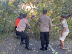 Personil Polsek Bebandem Bersinergi Dengan BPBD Karangasem dan Masyarakat, Evakuasi Dahan Pohon Bunut Yang Patah 