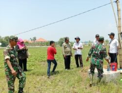 Babinsa Kwanyar Dampingi Kunker Staf Perlintan Kementrian Pertanian di Desa Pesanggrahan