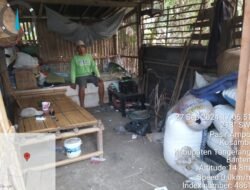 Miris Sekali Rumah Warga Desa Pasir Ampo Ambruk/Roboh. Pemerintah Desa Seakan Tutup Mata