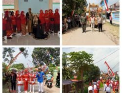 Dihari Jadi Yang Ke 30 Tahun Pemerintah Sidomulyo Mengadakan Karnaval Budaya