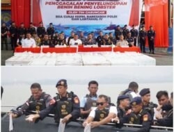 Tim Gabungan Bareskrim Polri, Berhasil Gagalkan Penyelundupan 237.305 Benih Bening Lobster Senilau 23,6 Miliar Rupiah