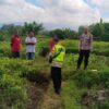 Cooling System, Kapolsek Sidemen, Ajak Petani Jaga Keamanan Jelang Pilkada